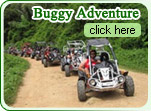 Buggy Adventure