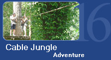 Cable Jungle Adventure