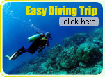 Easy Diving Trip
