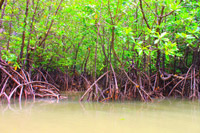 James Bond Island by Escort Boat