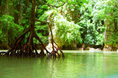 Jamesbond Island and Khai Island by Speed Boat