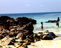 3 Eggs Island and Pearl Island Half Day Trip by ExcursionsPro