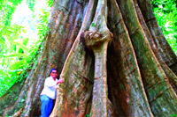 Koh Yao Noi Sightseeing and Jungle Walk