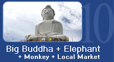 Big Buddha + Elephant + Monkey + Local Market