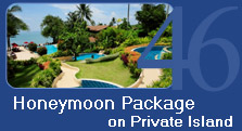 Honeymoon Package on Coconut Island