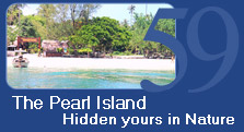 The Pearl Island