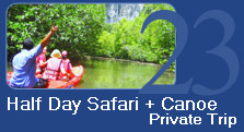 Half Day Safari and Canoeing