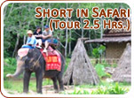 Short in Safari