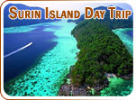 Surin Island Day Trip