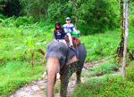 Rafting 5 Km and ATV 1 Hr and Monkey Temple