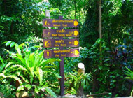 Phuket Safari Concern by ExcursionsPro