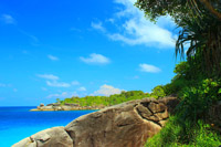 Similan Island by Speed Boat