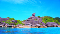 Similan Island by Speed Boat