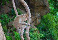 Special Day Tour Concerns Safari by JC Tour Special Day Tour Concerns Safari by JC Tour