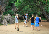 Special Day Tour Concerns Safari by JC Tour