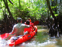 Special Day Tour Concerns Safari by JC Tour