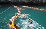 Trang and Krabi Trip by ExcursionsPro