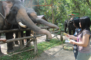 Private Unlimited Discovery by ExcursionsPro Private Unlimited Discovery by ExcursionsPro